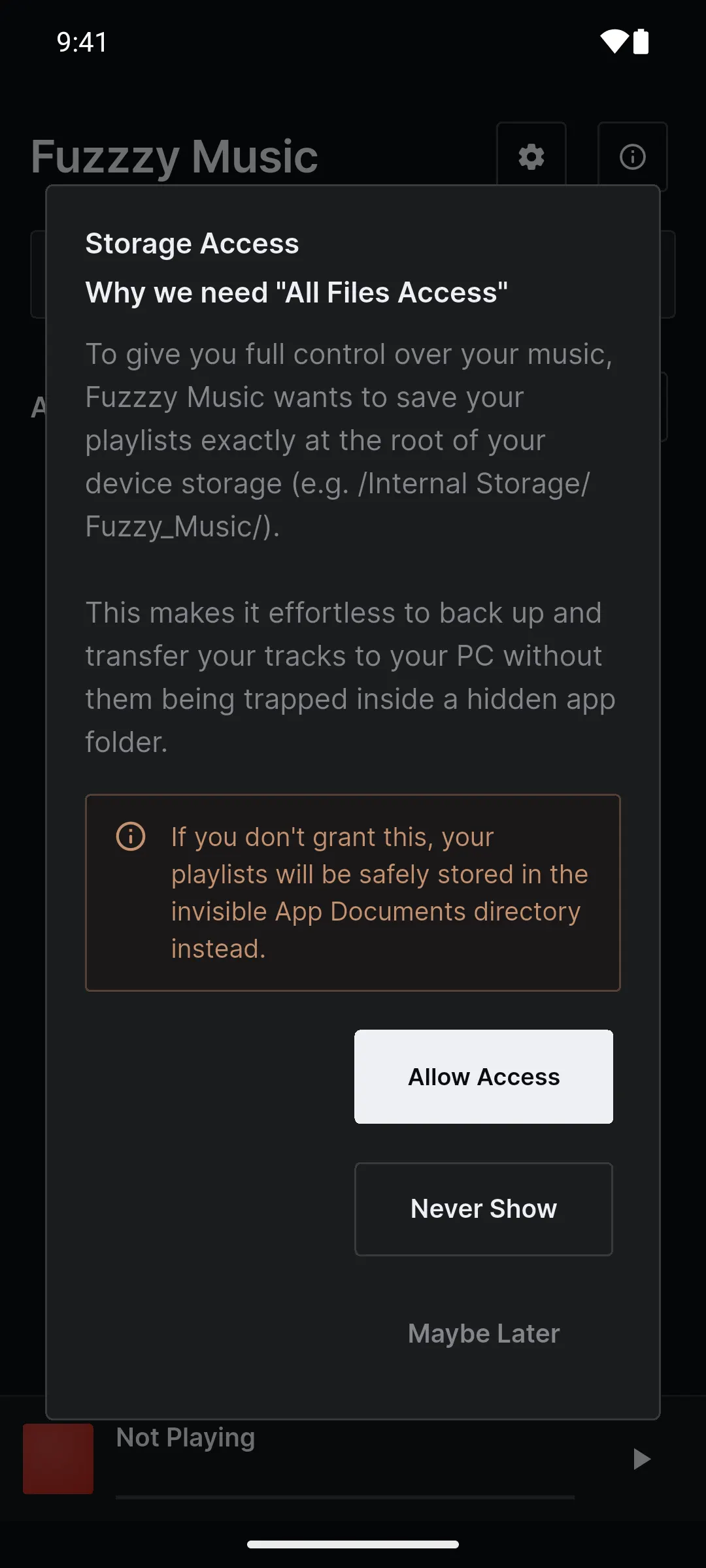 The Storage Access dialog with Allow Access, Never Show and Maybe Later.