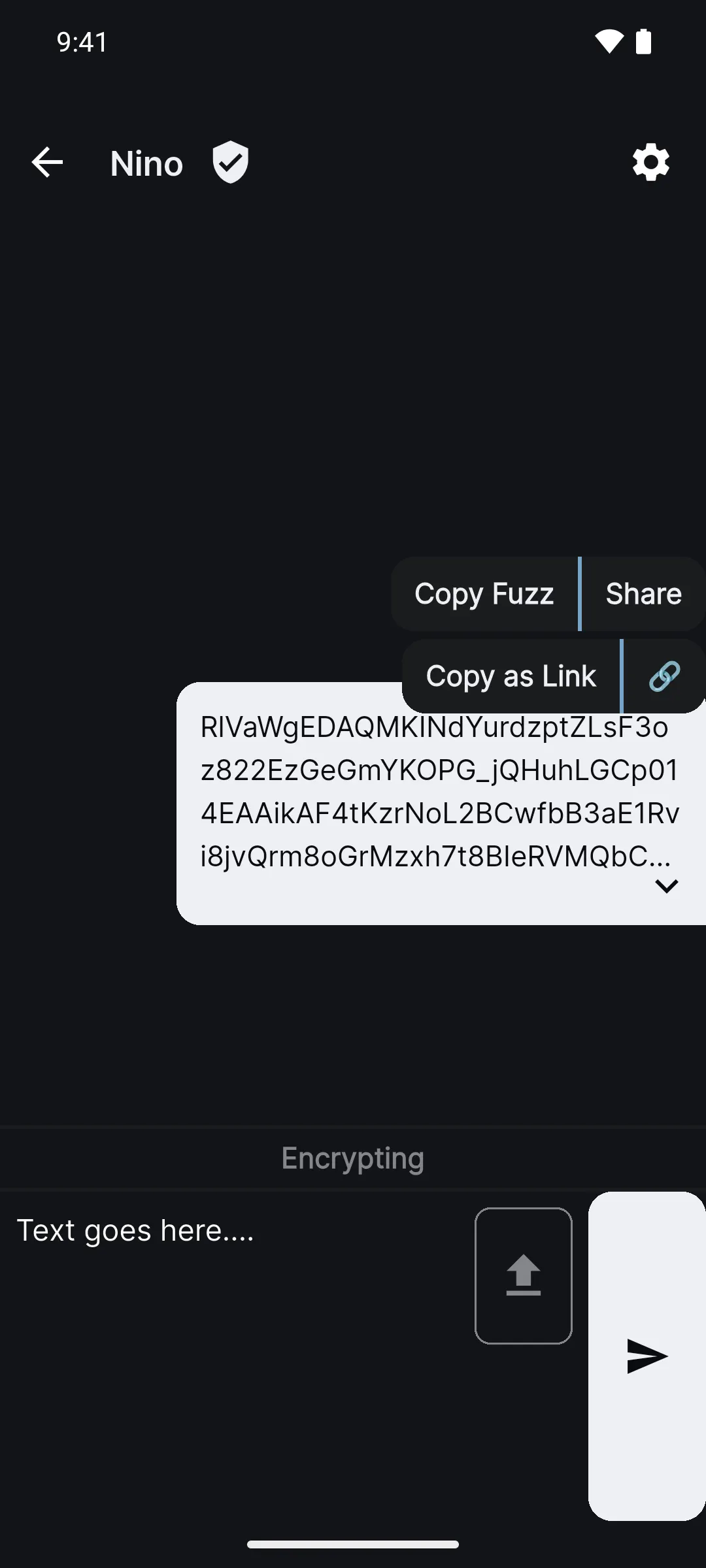 A fuzzed message bubble with its menu open: Copy Fuzz, Share and Copy as Link.